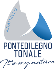 logo ponte tonale